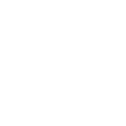 TWPS_Icons_Execution